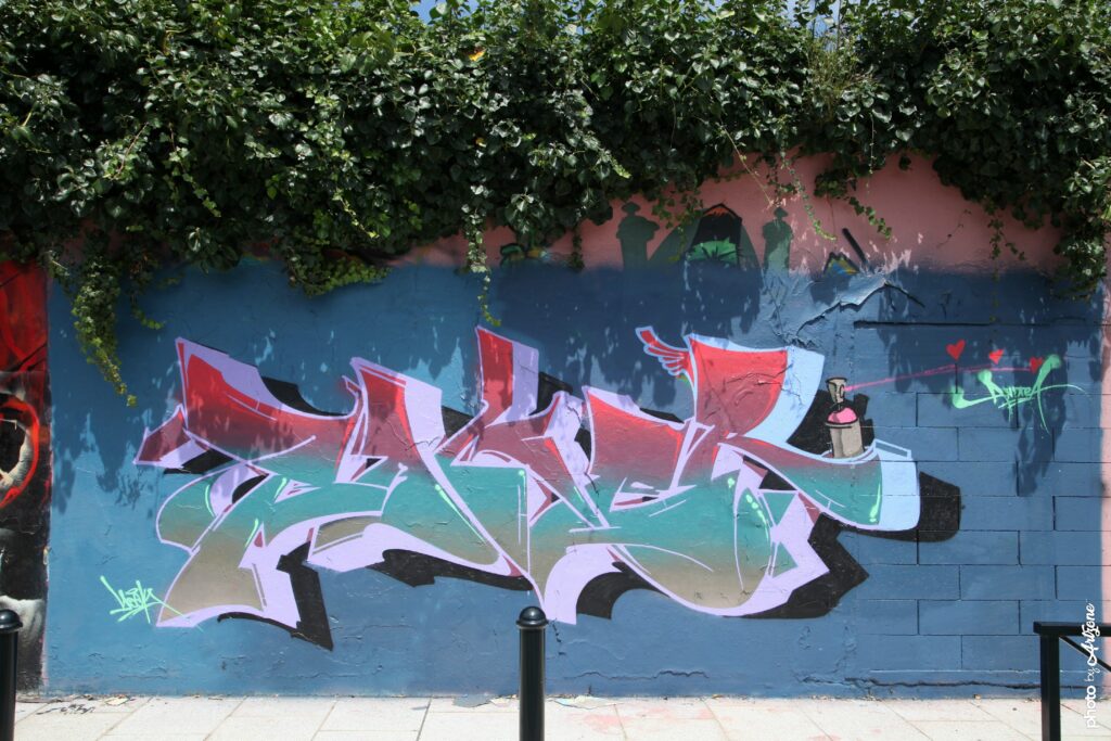 Fresque street art Fluke et Naku graffiti lettering coloré sur mur bleu