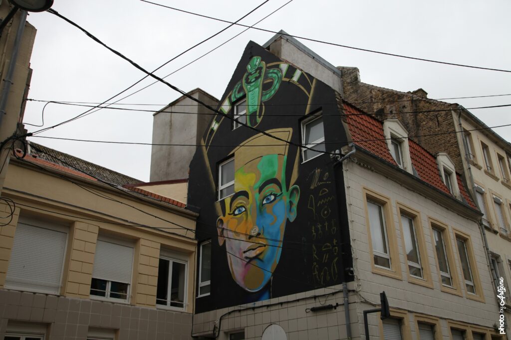 Ludovik Truffier street art fresque monumentale portrait réaliste en milieu urbain