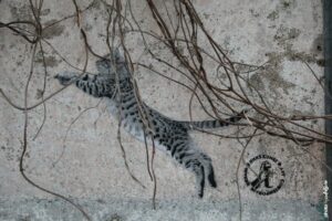 Pochoir street art Jinks Kunst félin en saut sur mur urbain